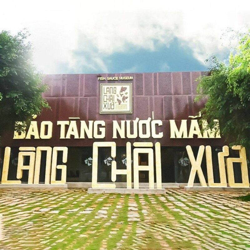 Combo 6 Chai Nước Mắm Tĩn Tôm Biển Hồng Ngọc Đại Dương 45N 500ml - Tặng 3 Sốt Muối Chấm 12 Bảo tàng nước mắm Làng Chài Xưa tại Phan Thiết