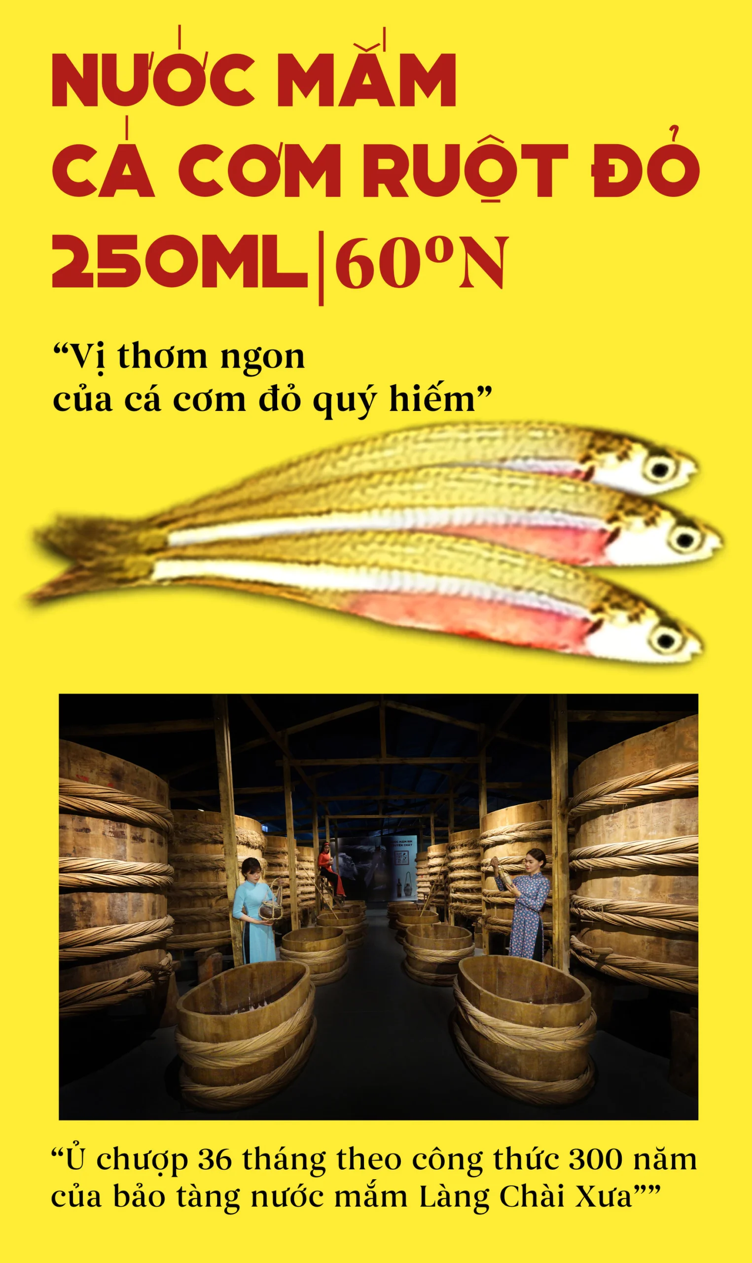 nuoc mam tin ca com vang 60n 250ml 5 scaled