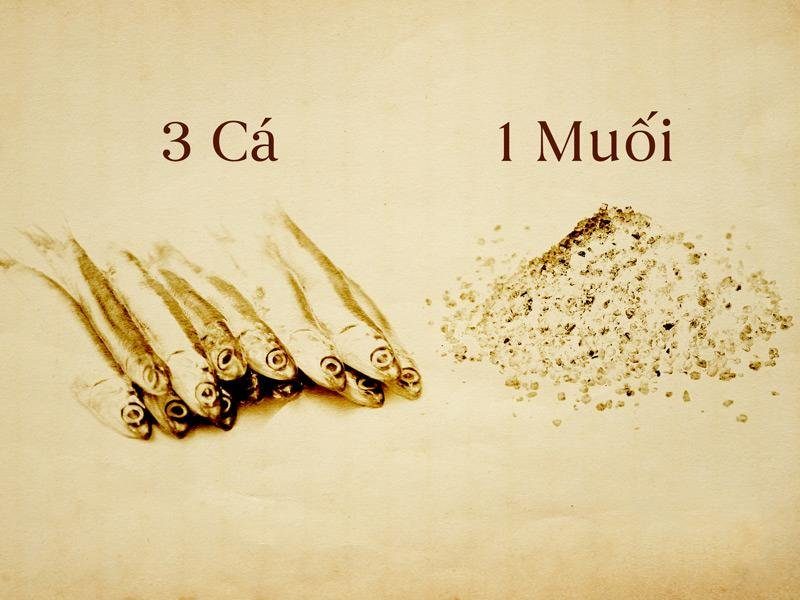 thung 6 chai nuoc mam nhi ca com vang ruot do 525ml lang chai xua 3 1