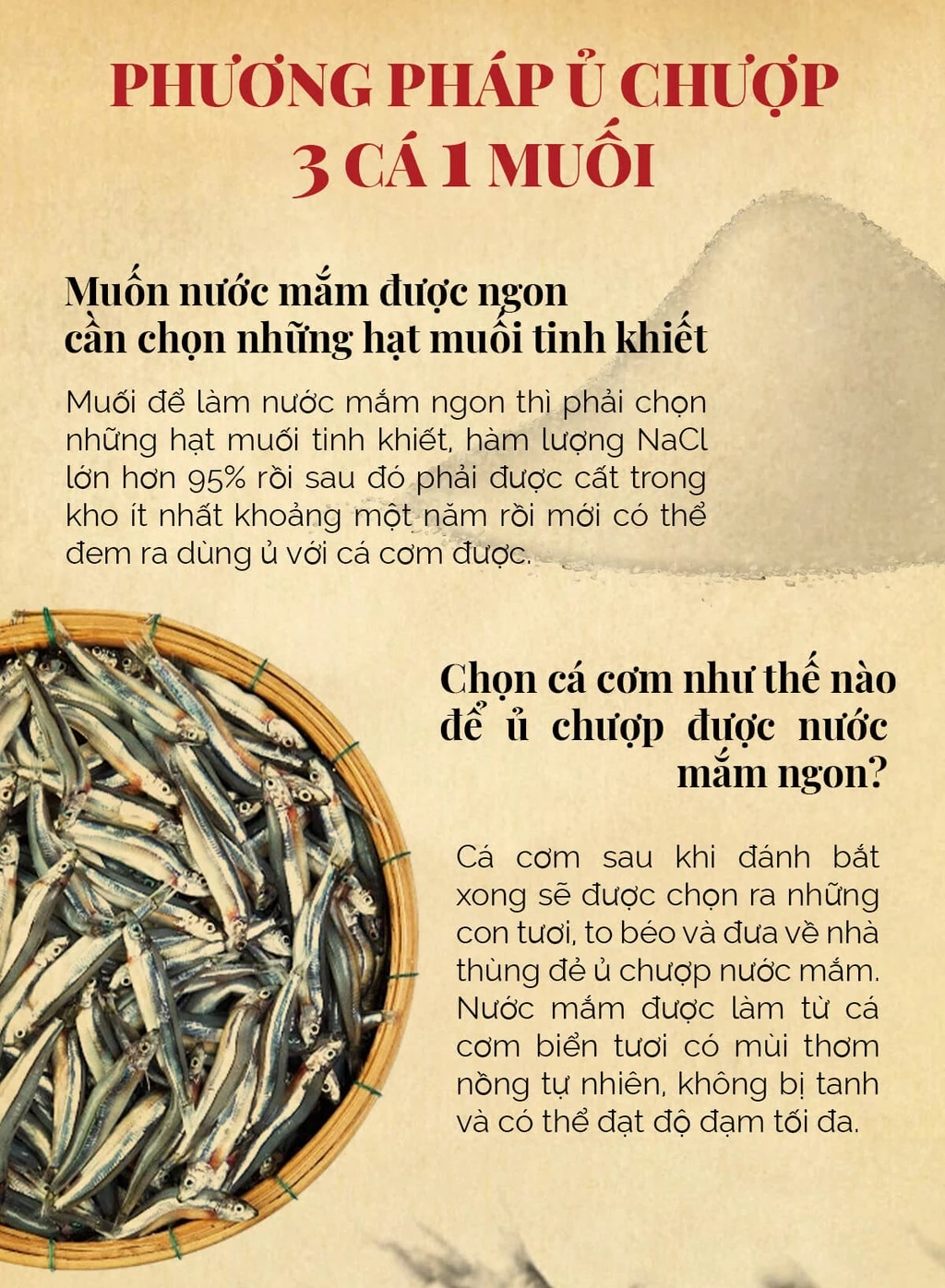 thung-6-chai-nuoc-mam-tin-ca-com-than-nhan-do-40n-500ml